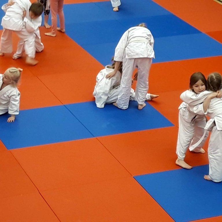 Frá æfingabúðum í Júdó á Sauðárkróki. Mynd: Auður Inga Ingimarsdóttir.