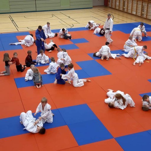 Frá æfingabúðum í Júdó á Sauðárkróki. Mynd: Auður Inga Ingimarsdóttir.