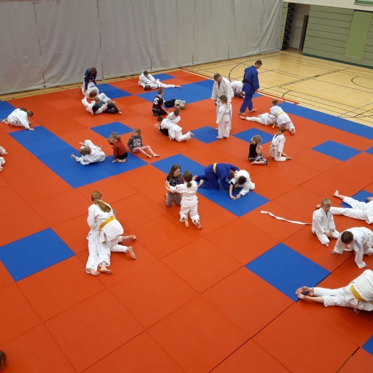 Frá æfingabúðum í Júdó á Sauðárkróki. Mynd: Auður Inga Ingimarsdóttir.