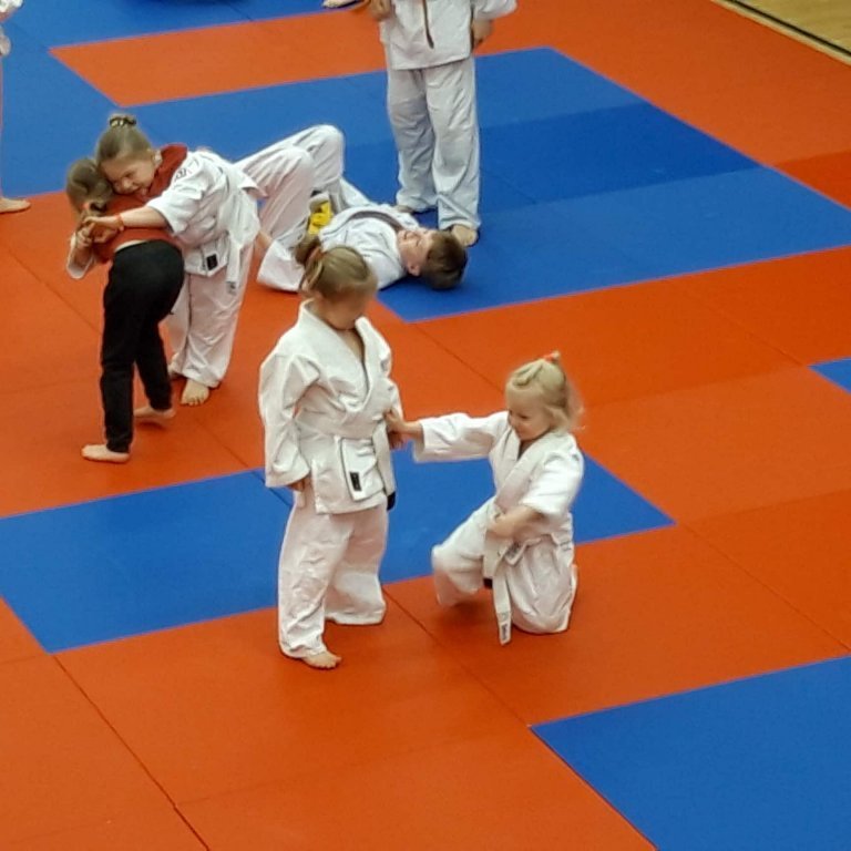 Frá æfingabúðum í Júdó á Sauðárkróki. Mynd: Auður Inga Ingimarsdóttir.