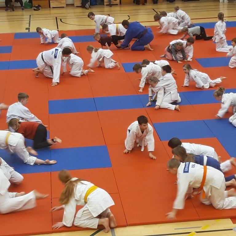 Frá æfingabúðum í Júdó á Sauðárkróki. Mynd: Auður Inga Ingimarsdóttir.