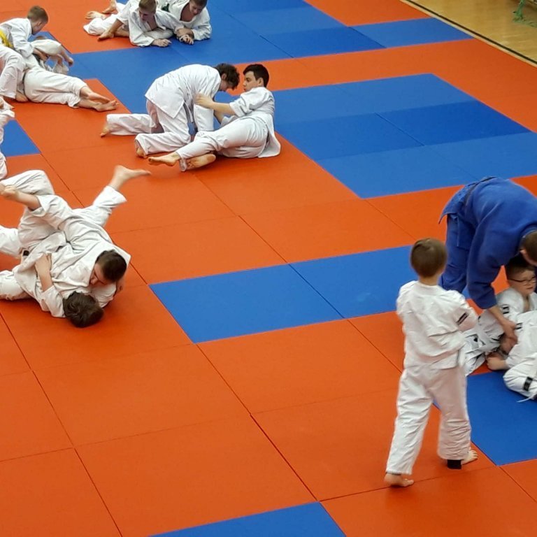 Frá æfingabúðum í Júdó á Sauðárkróki. Mynd: Auður Inga Ingimarsdóttir.