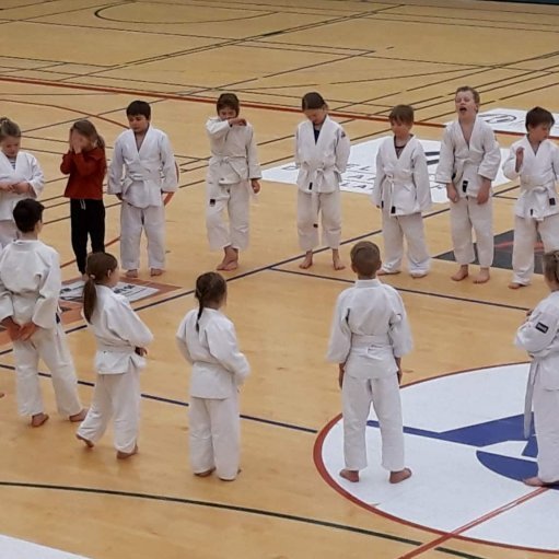 Frá æfingabúðum í Júdó á Sauðárkróki. Mynd: Auður Inga Ingimarsdóttir.