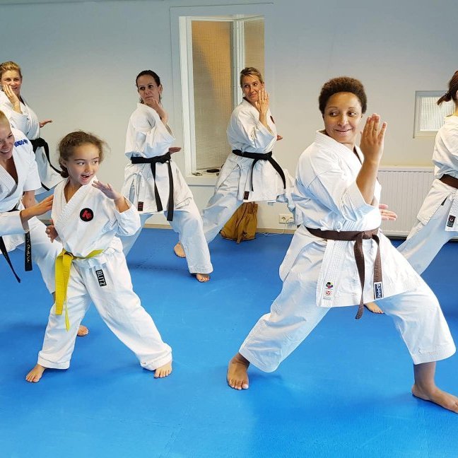 Frá æfinabúðum í Karate á Skagaströnd. Mynd: Bryndís Valbjarnardóttir.