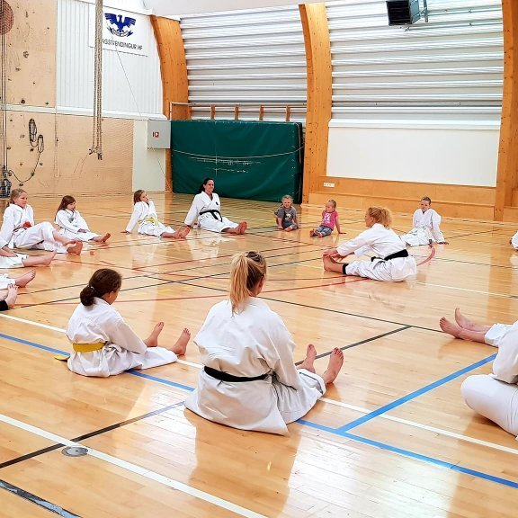 Frá æfinabúðum í Karate á Skagaströnd. Mynd: Graciete Das Dores.