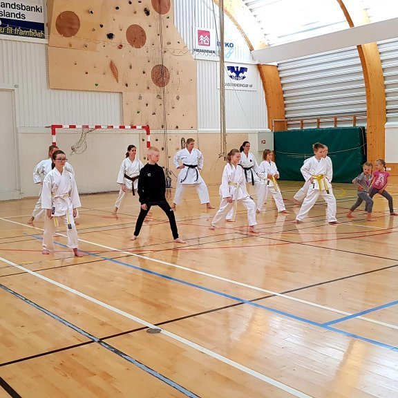 Frá æfinabúðum í Karate á Skagaströnd. Mynd: Graciete Das Dores.