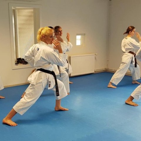 Frá æfinabúðum í Karate á Skagaströnd. Mynd: Graciete Das Dores. 