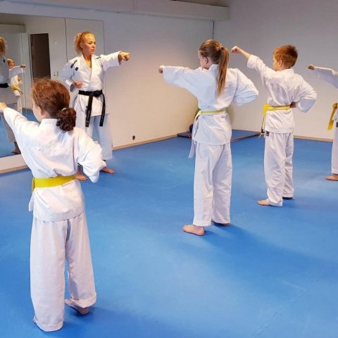 Frá æfinabúðum í Karate á Skagaströnd. Mynd: Graciete Das Dores. 