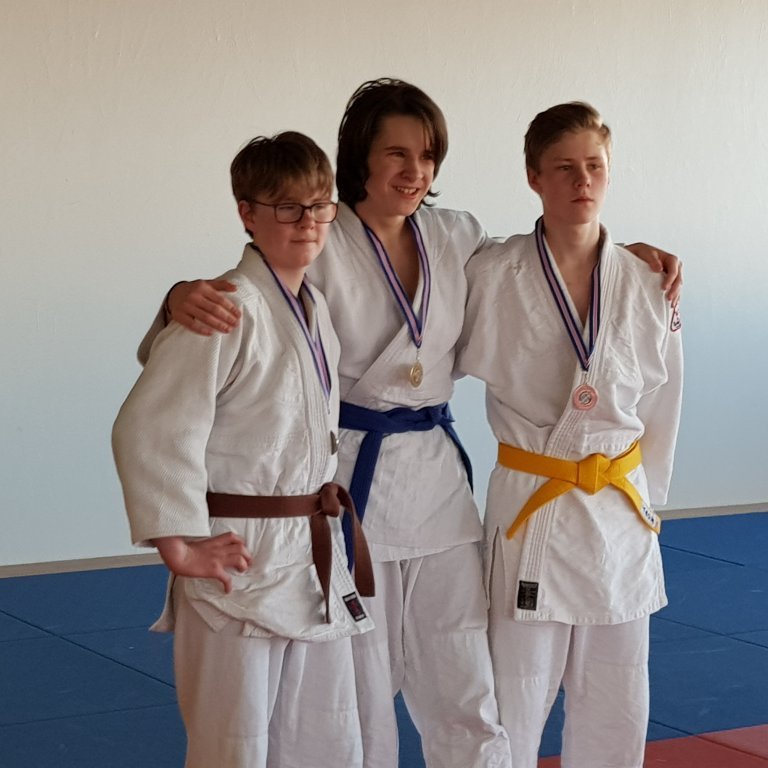 Frá afmælismóti JSÍ. Mynd: Sigfús Ingi Sigfússon.