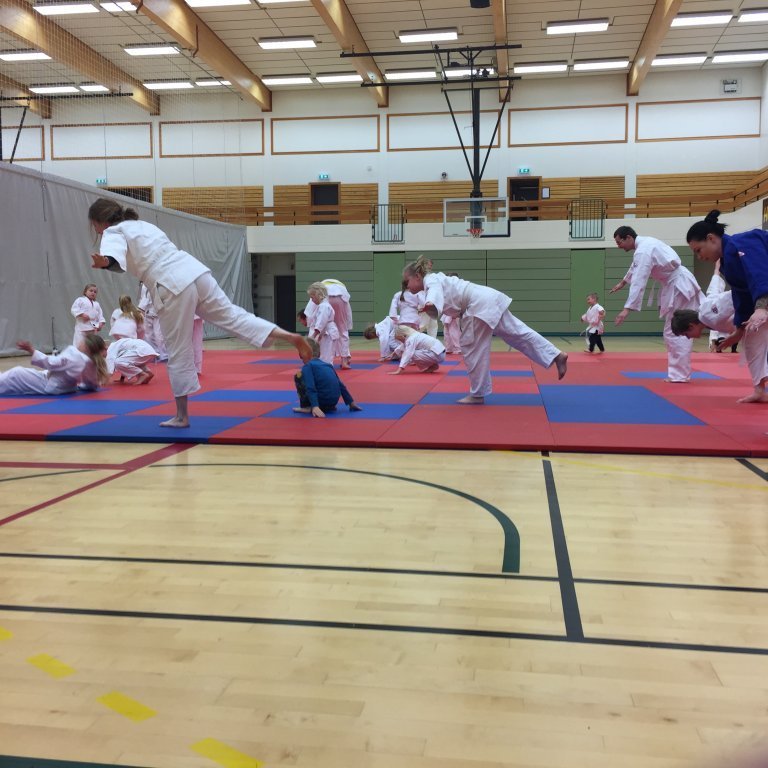 Frá foreldraæfingu. Mynd: Grétar Karlsson.