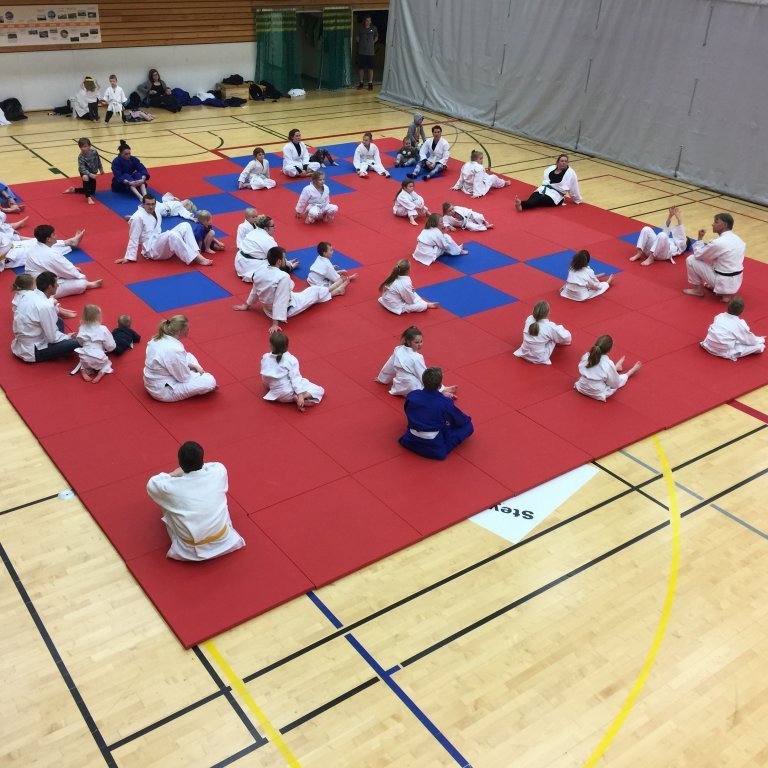 Frá foreldraæfingu. Mynd: Grétar Karlsson.