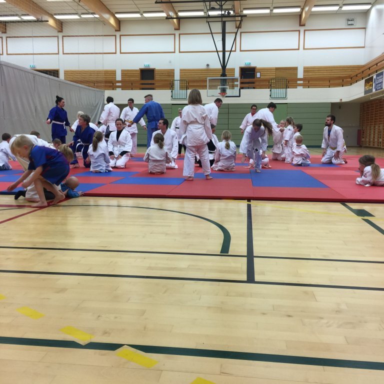 Frá foreldraæfingu. Mynd: Grétar Karlsson.