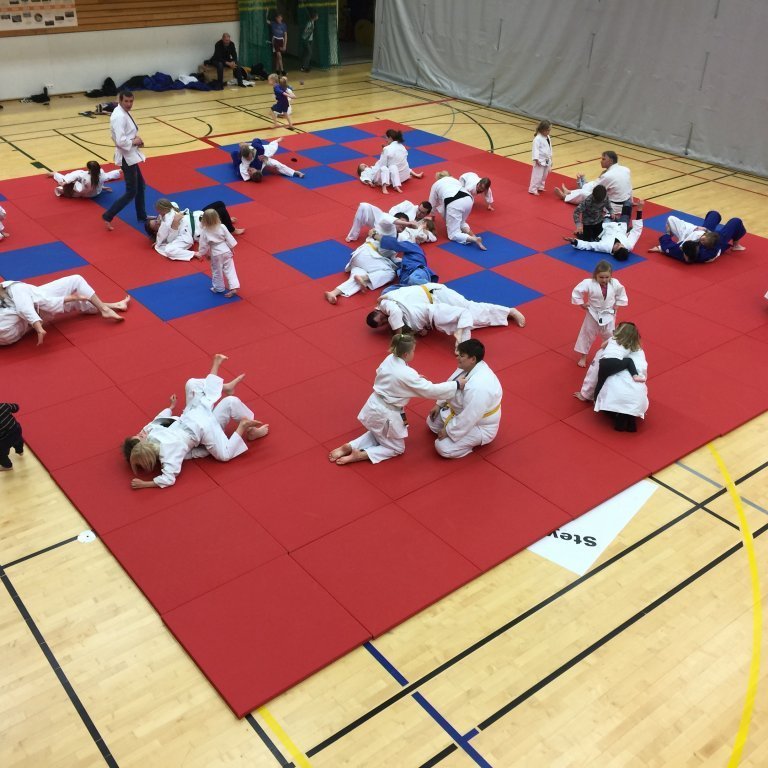 Frá foreldraæfingu. Mynd: Grétar Karlsson.