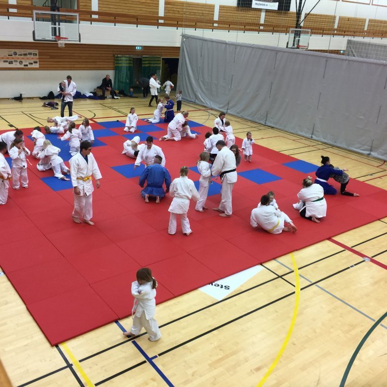 Frá foreldraæfingu. Mynd: Grétar Karlsson.