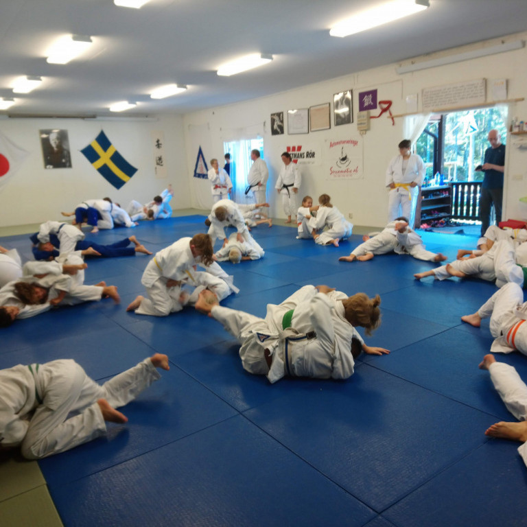 Frá æfingabúðum IK Södra Judo í Stokkhólmi í Svíþjóð. Mynd: Einar Örn Hreinsson.