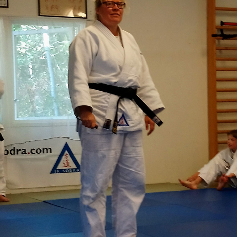 Frá æfingabúðum IK Södra Judo í Stokkhólmi í Svíþjóð. Mynd: Einar Örn Hreinsson.