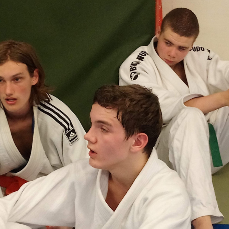 Frá æfingabúðum IK Södra Judo í Stokkhólmi í Svíþjóð. Mynd: Einar Örn Hreinsson.