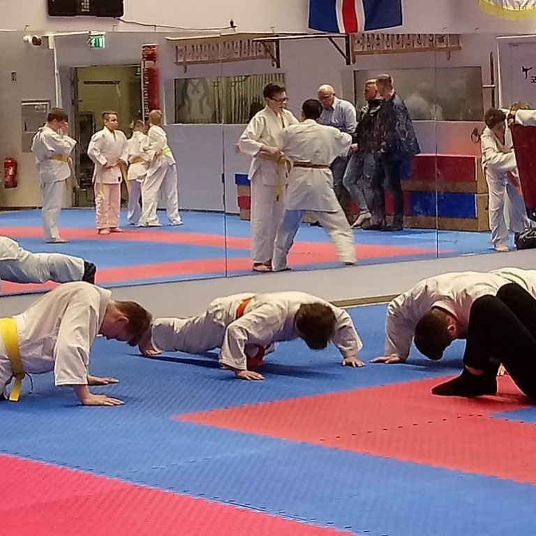 Frá Íslandsmóti JSÍ yngri flokka 2019. Mynd: Einar Örn Hreinsson.