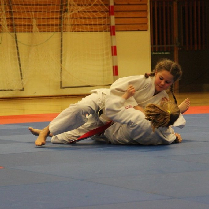 Mynd: Katharina Sommermeier.