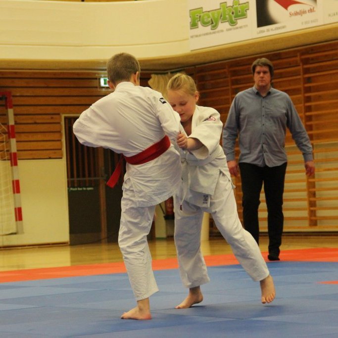 Mynd: Katharina Sommermeier.