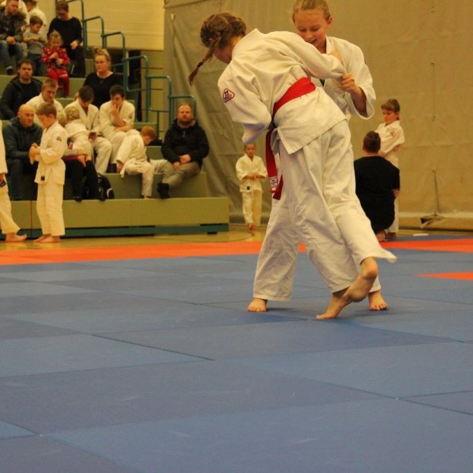 Mynd: Katharina Sommermeier.