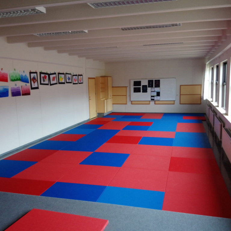 Frá júdókynningu á Sólgörðum. Mynd: Einar Örn Hreinsson.