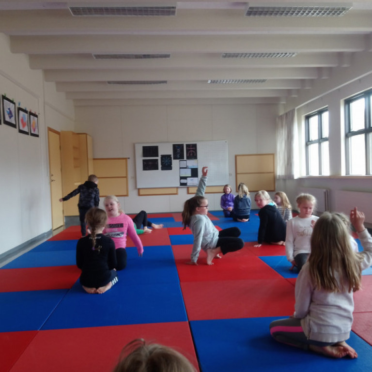 Frá júdókynningu á Sólgörðum. Mynd: Einar Örn Hreinsson.