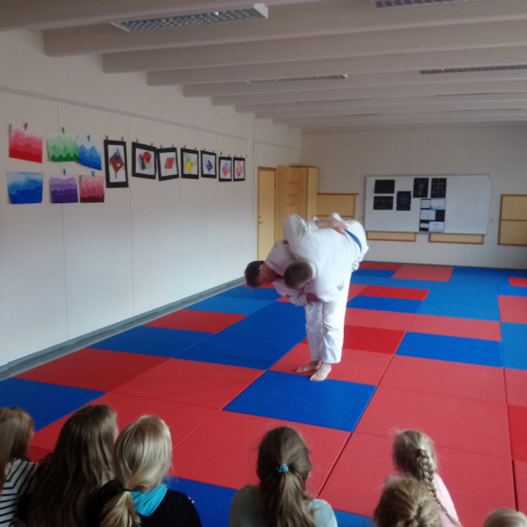 Frá júdókynningu á Sólgörðum. Mynd: Einar Örn Hreinsson.