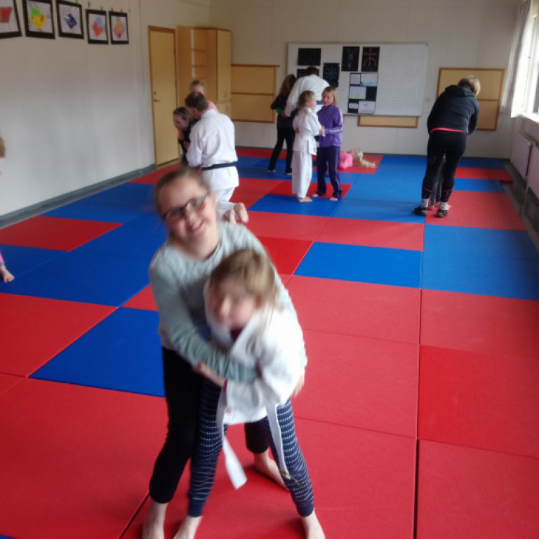 Frá júdókynningu á Sólgörðum. Mynd: Einar Örn Hreinsson.