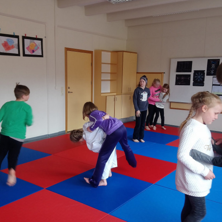 Frá júdókynningu á Sólgörðum. Mynd: Einar Örn Hreinsson.