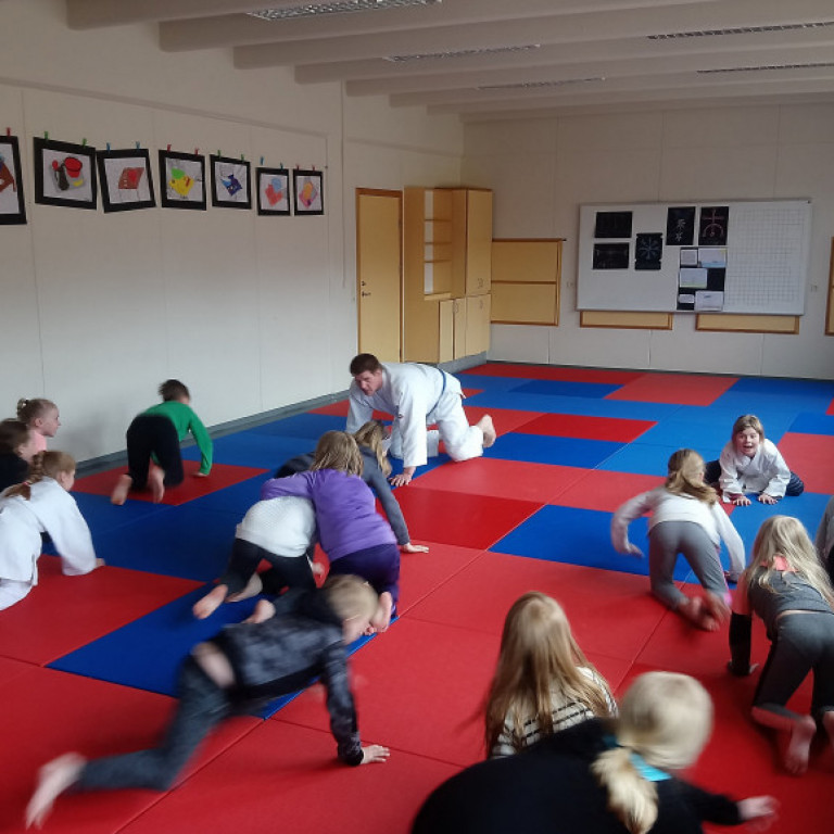 Frá júdókynningu á Sólgörðum. Mynd: Einar Örn Hreinsson.