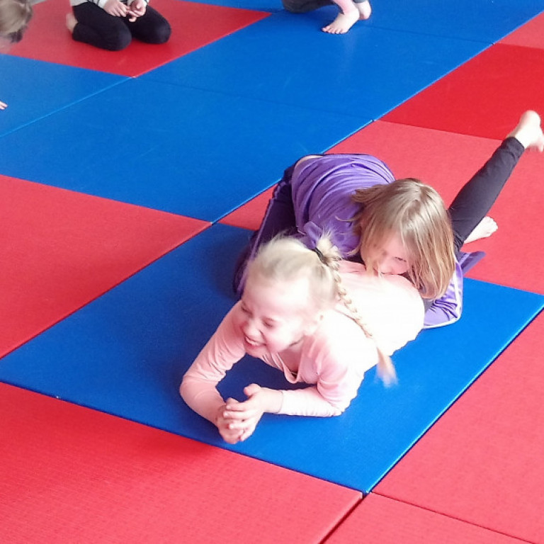 Frá júdókynningu á Sólgörðum. Mynd: Einar Örn Hreinsson.