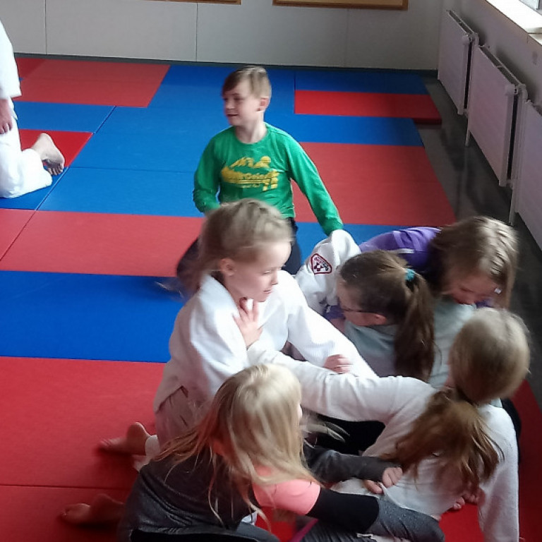 Frá júdókynningu á Sólgörðum. Mynd: Einar Örn Hreinsson.