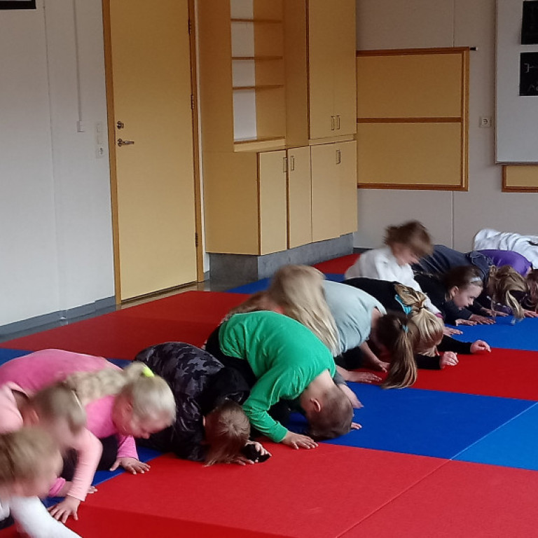 Frá júdókynningu á Sólgörðum. Mynd: Einar Örn Hreinsson.