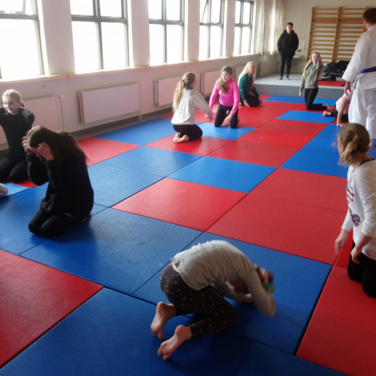 Frá júdókynningu á Sólgörðum. Mynd: Einar Örn Hreinsson.