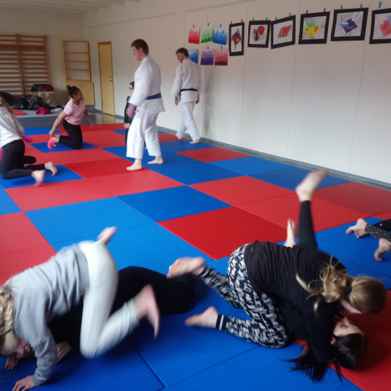 Frá júdókynningu á Sólgörðum. Mynd: Einar Örn Hreinsson.