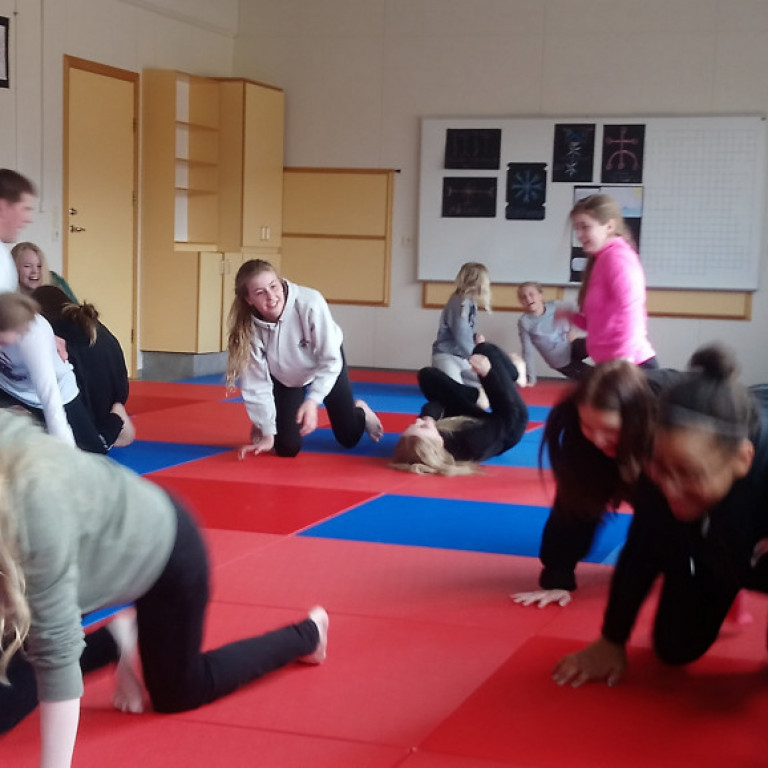 Frá júdókynningu á Sólgörðum. Mynd: Einar Örn Hreinsson.