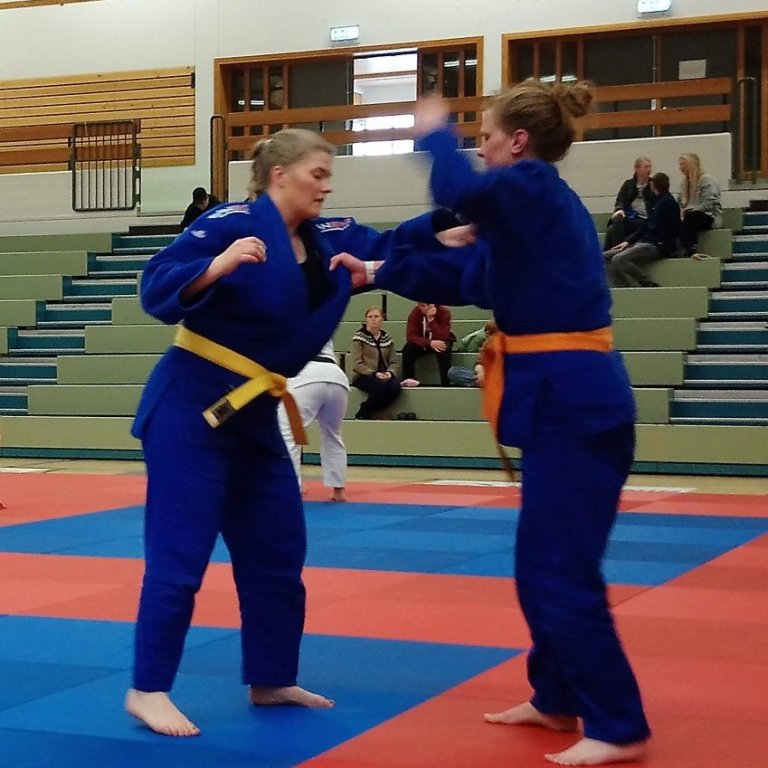 Frá opinni æfingu kvennalandsliðsins á Sauðárkróki. Mynd: Einar Örn Hreinsson.