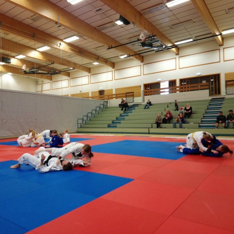 Frá opinni æfingu kvennalandsliðsins á Sauðárkróki. Mynd: Einar Örn Hreinsson.