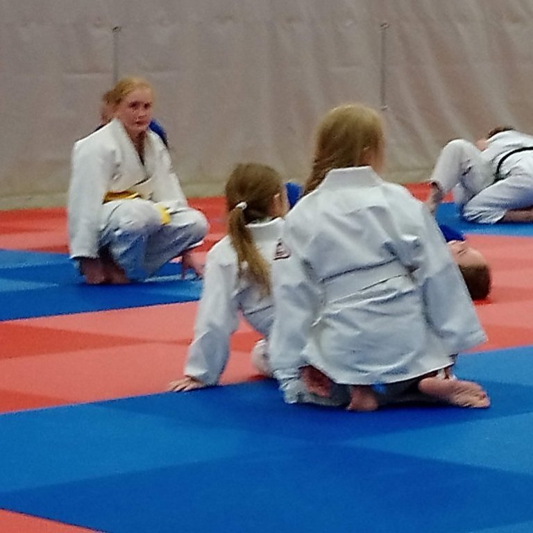 Frá opinni æfingu kvennalandsliðsins á Sauðárkróki. Mynd: Einar Örn Hreinsson.