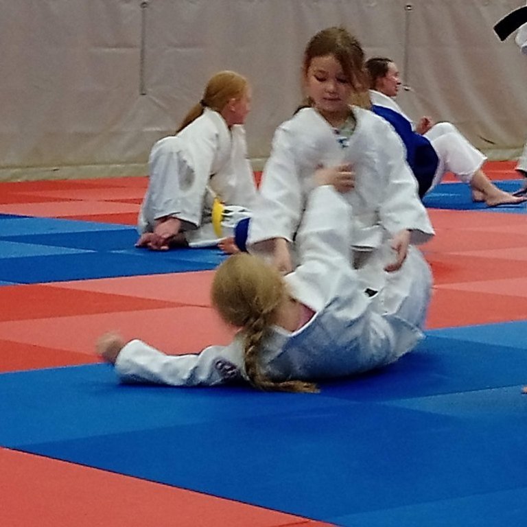 Frá opinni æfingu kvennalandsliðsins á Sauðárkróki. Mynd: Einar Örn Hreinsson.