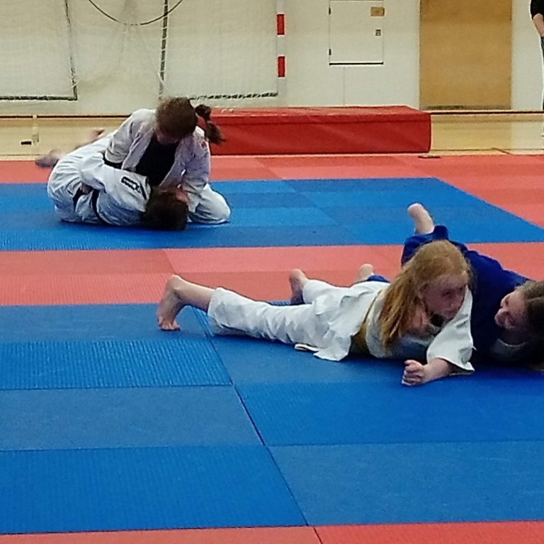 Frá opinni æfingu kvennalandsliðsins á Sauðárkróki. Mynd: Einar Örn Hreinsson.