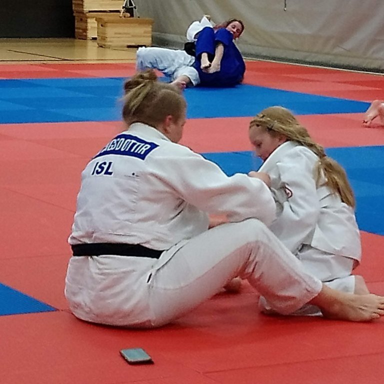 Frá opinni æfingu kvennalandsliðsins á Sauðárkróki. Mynd: Einar Örn Hreinsson.