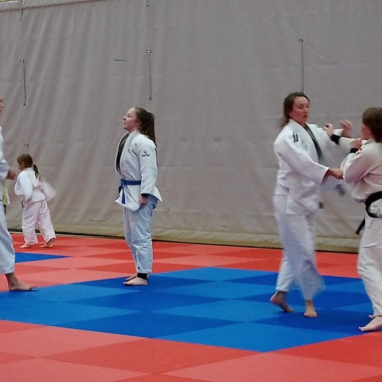 Frá opinni æfingu kvennalandsliðsins á Sauðárkróki. Mynd: Einar Örn Hreinsson.