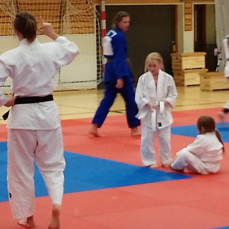 Frá opinni æfingu kvennalandsliðsins á Sauðárkróki. Mynd: Einar Örn Hreinsson.