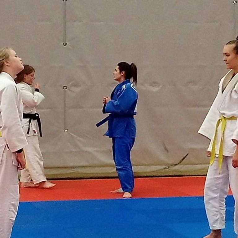 Frá opinni æfingu kvennalandsliðsins á Sauðárkróki. Mynd: Einar Örn Hreinsson.