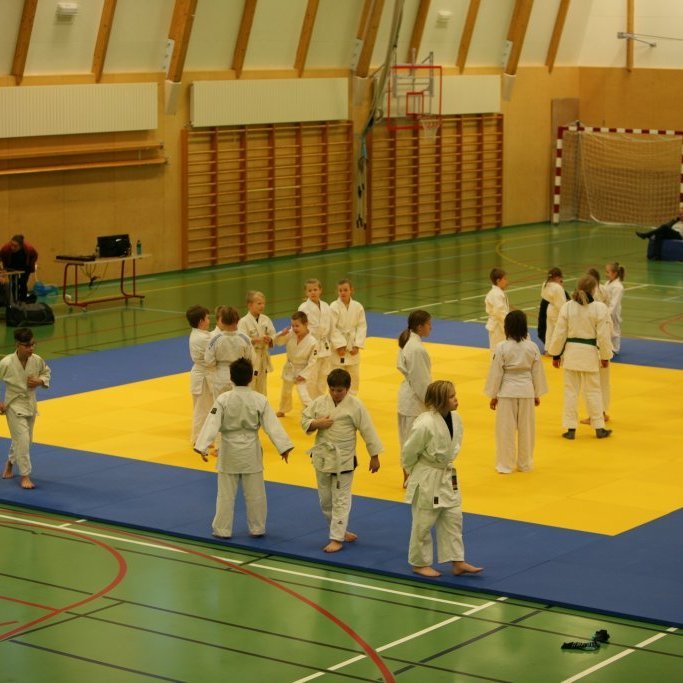 Frá Norðurlandsmóti í Júdó á Blönduósi. Mynd: Hjálmar Ólafsson.