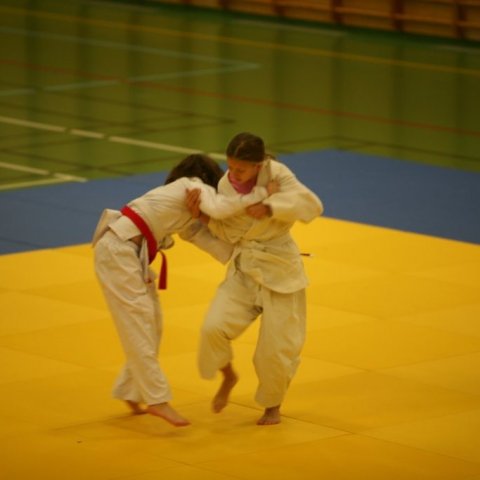 img_1160r.jpg