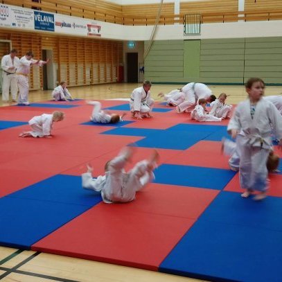 Frá sameiginlegri æfingu með Pardus. Mynd: Katharina Sommermeier.