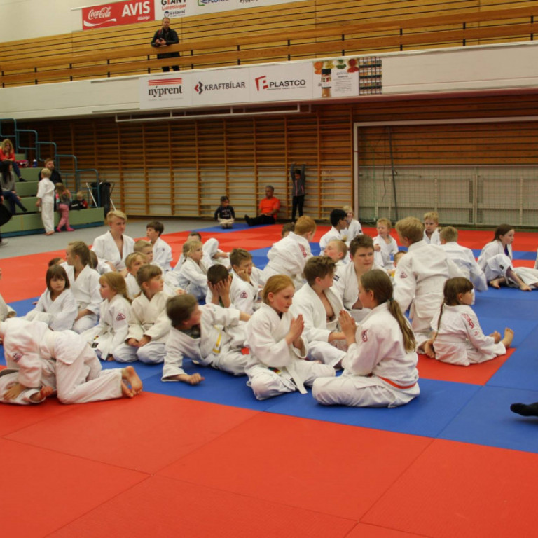 Mynd Katharina Sommermeier.